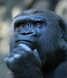 4444476398_ce3bc30f7d